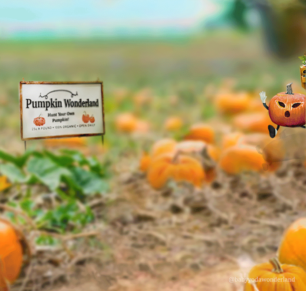 Pumpkin Hunt